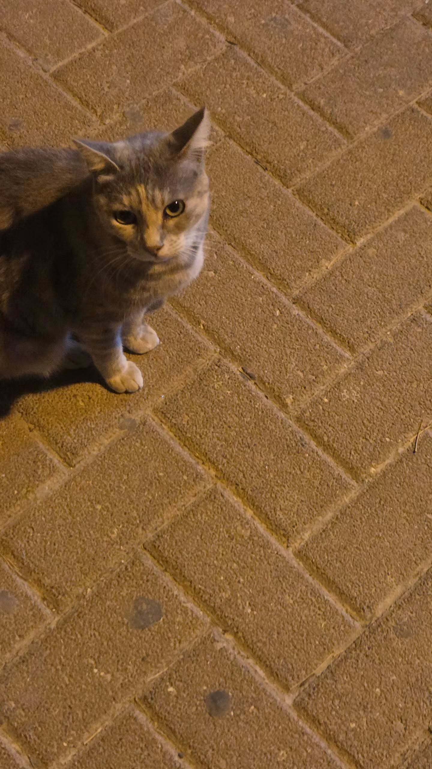 avital_1010.2003 instagram image archive image