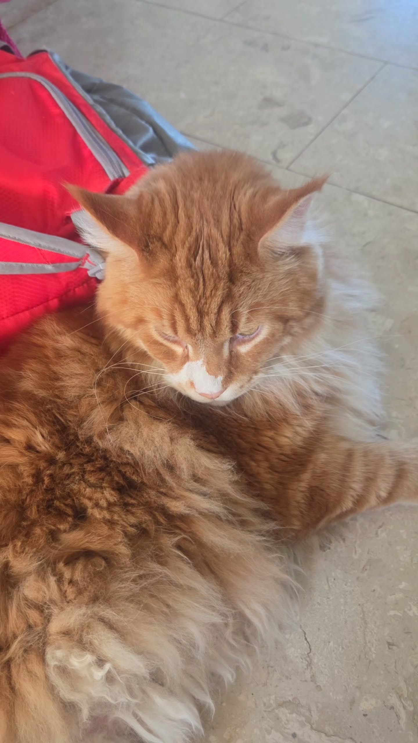 avital_1010.2003 instagram image archive image