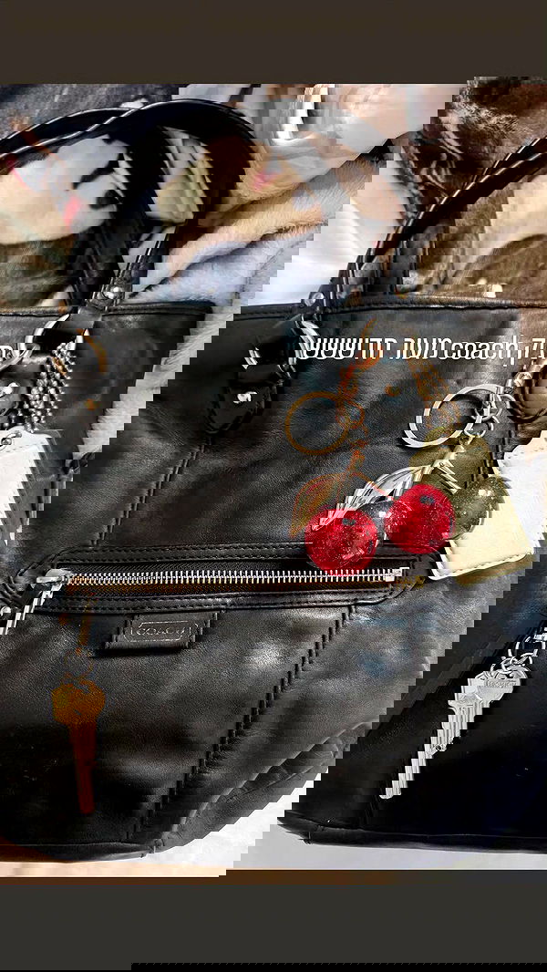 avital_1010.2003 image ~ Altpins