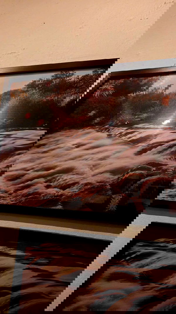 avital_1010.2003 image ~ Altpins