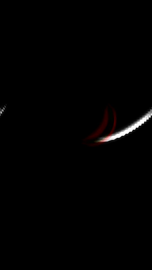 avital_1010.2003 image ~ Altpins