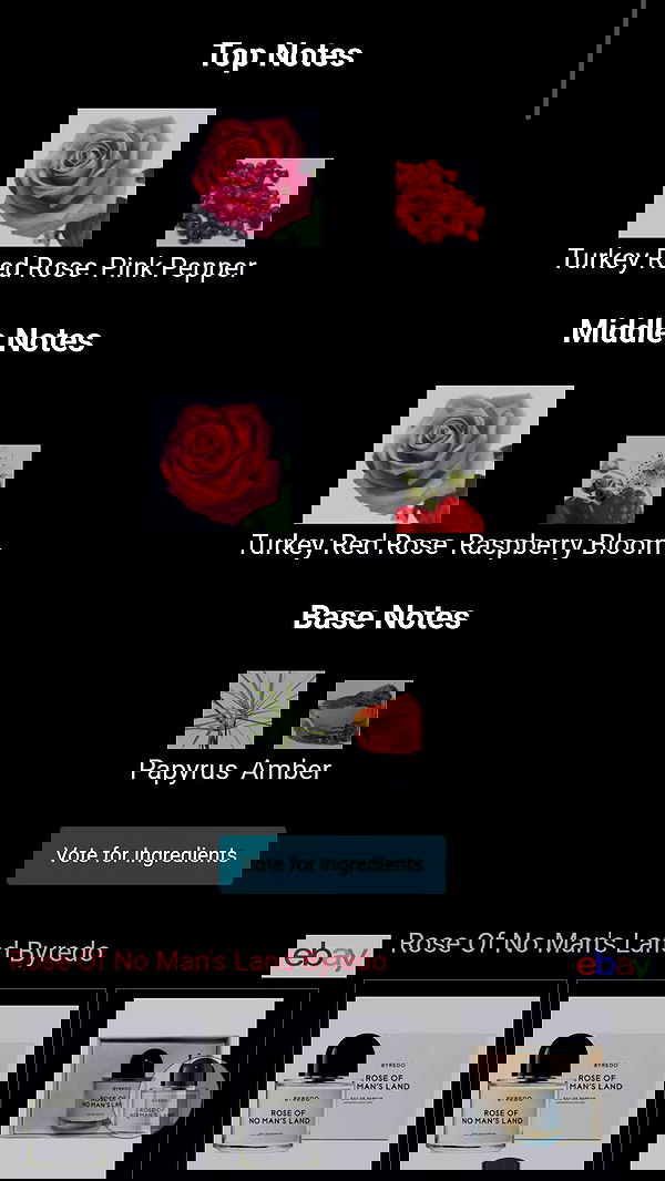 avital_1010.2003 image ~ Altpins