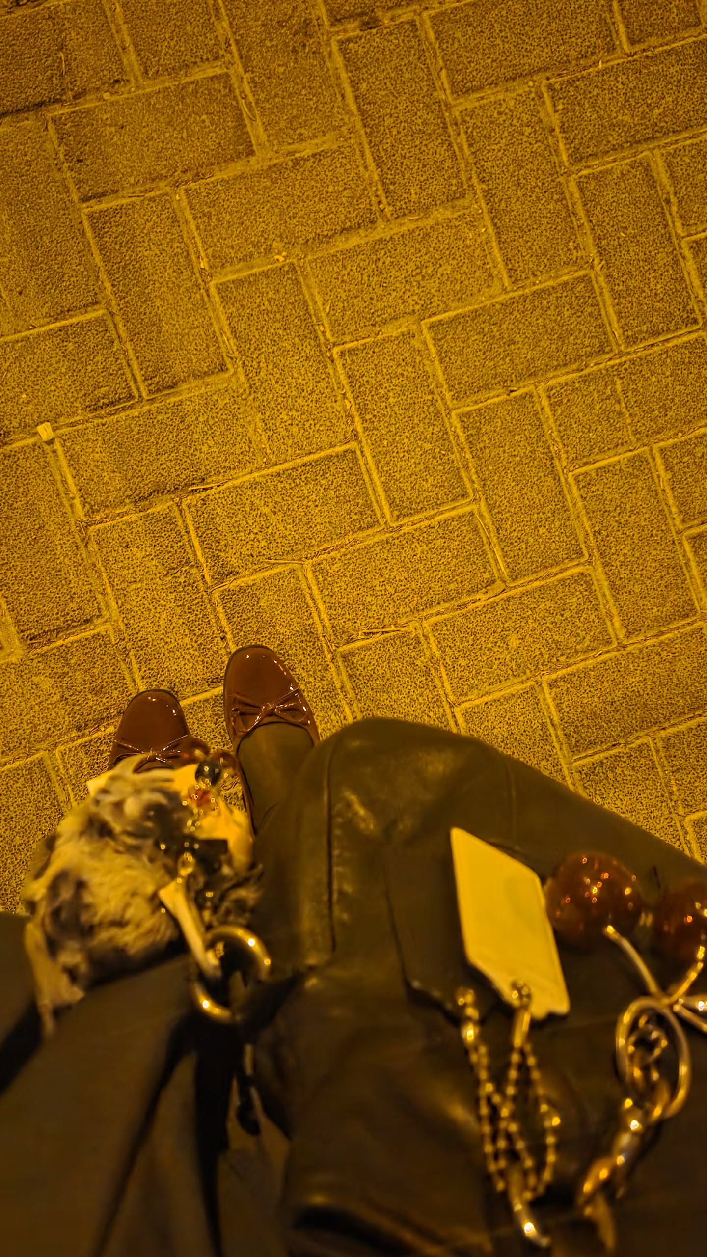 avital_1010.2003 instagram image archive image