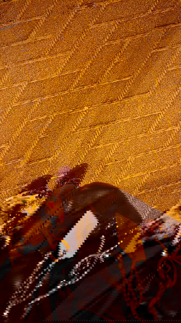 avital_1010.2003 image ~ Altpins