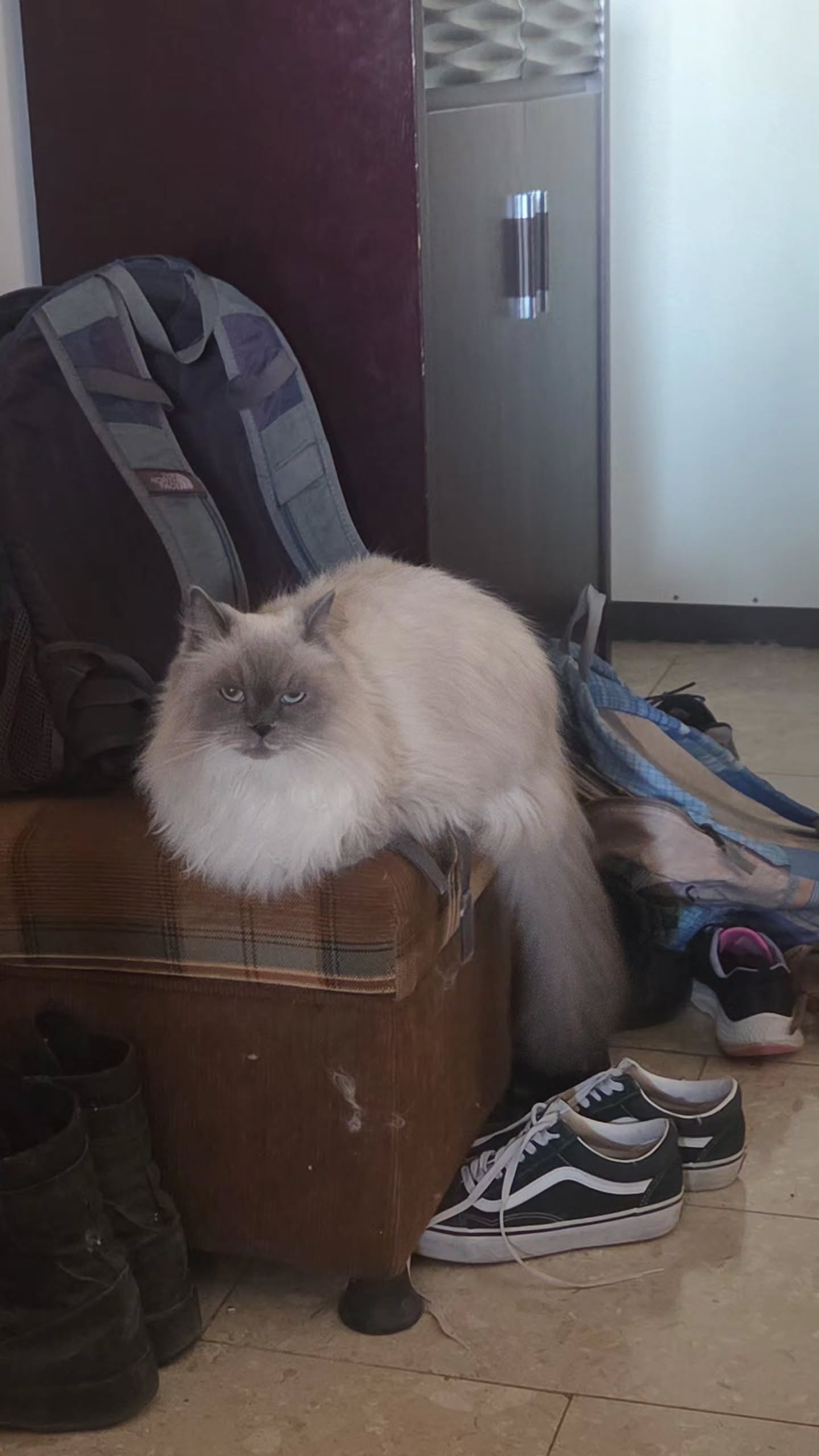 avital_1010.2003 instagram image archive image