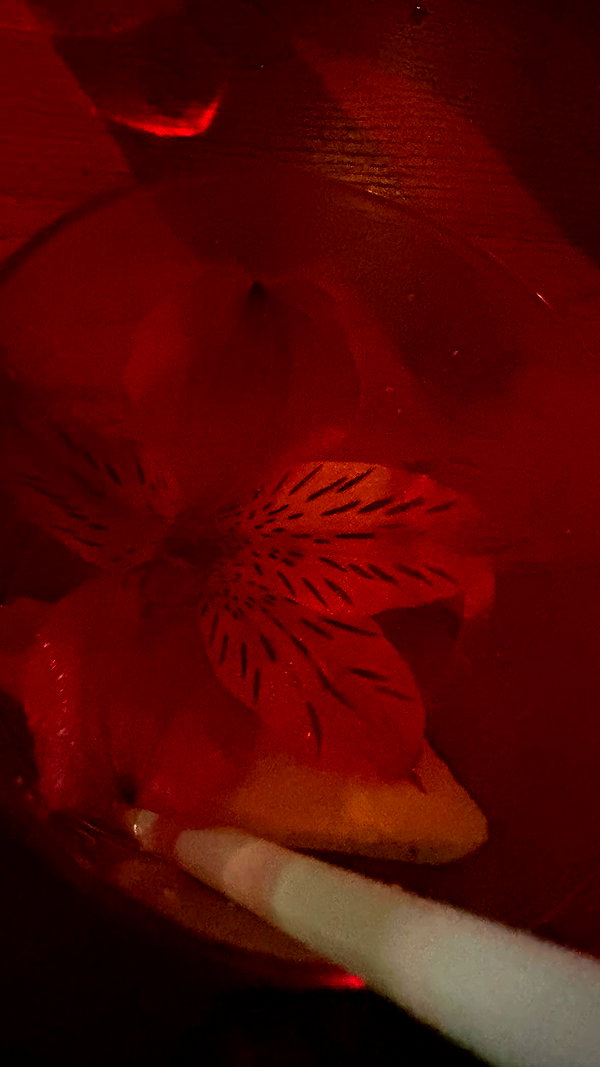 avitalll._ avitalll._ archive image