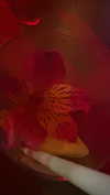 avitalll._ Altpins Profile Picture