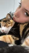 avitallllllll Altpins Profile Picture