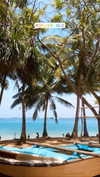 ayala.assaraf Altpins Profile Picture