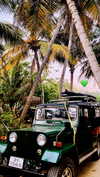 ayala.assaraf Altpins Profile Picture