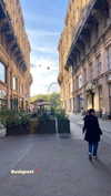 ayala.assaraf Altpins Profile Picture