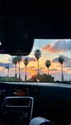 ayala.assaraf Altpins Profile Picture