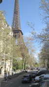ayala.assaraf Altpins Profile Picture