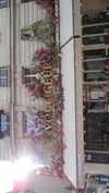 ayala.assaraf Altpins Profile Picture