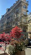 ayala.assaraf Altpins Profile Picture