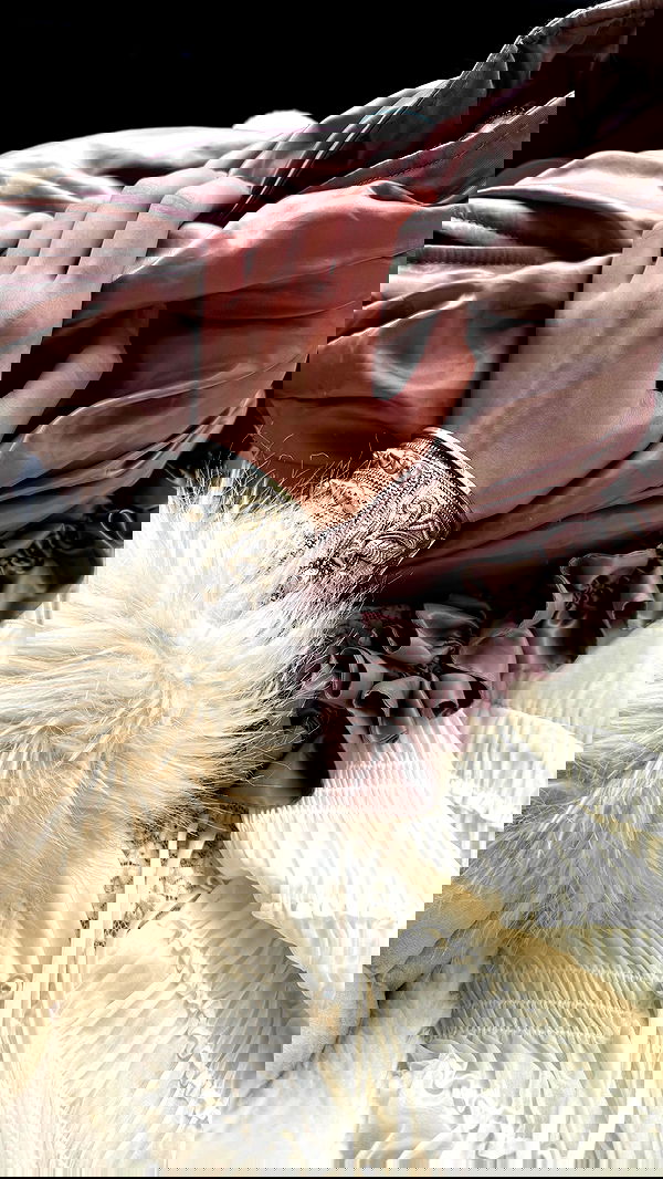 ayguldavlletova image ~ Altpins