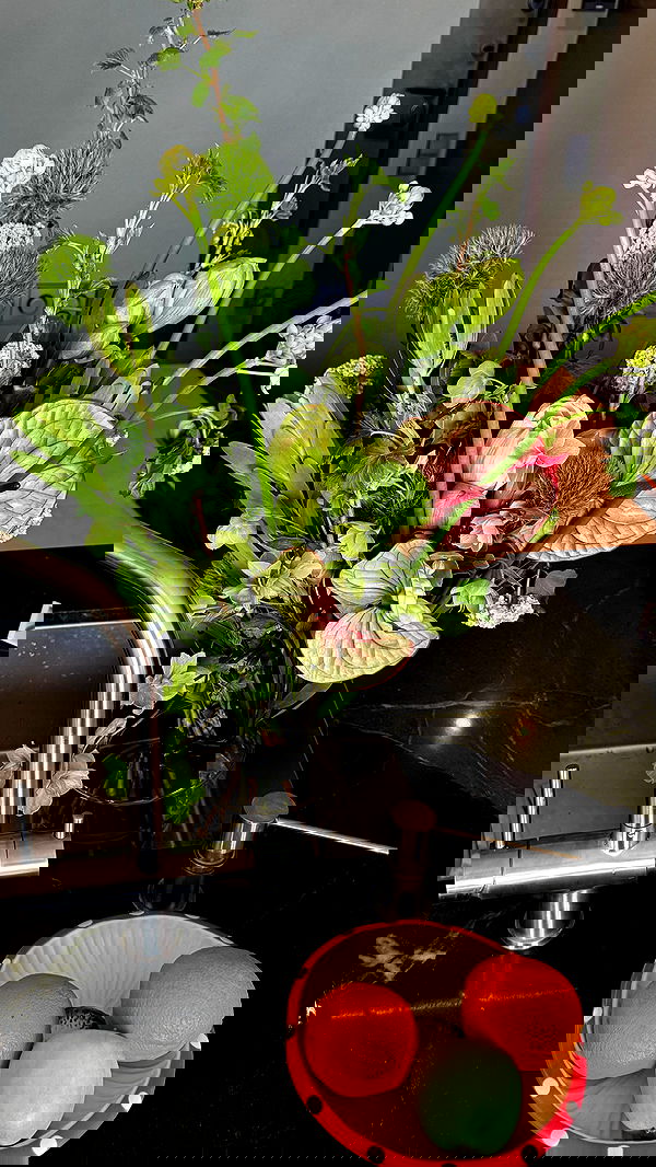 ayguldavlletova image ~ Altpins