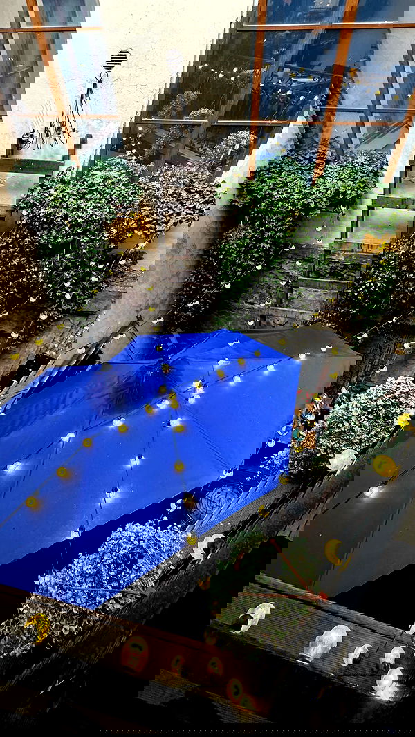 ayguldavlletova image ~ Altpins