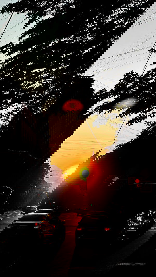 ayguldavlletova image ~ Altpins