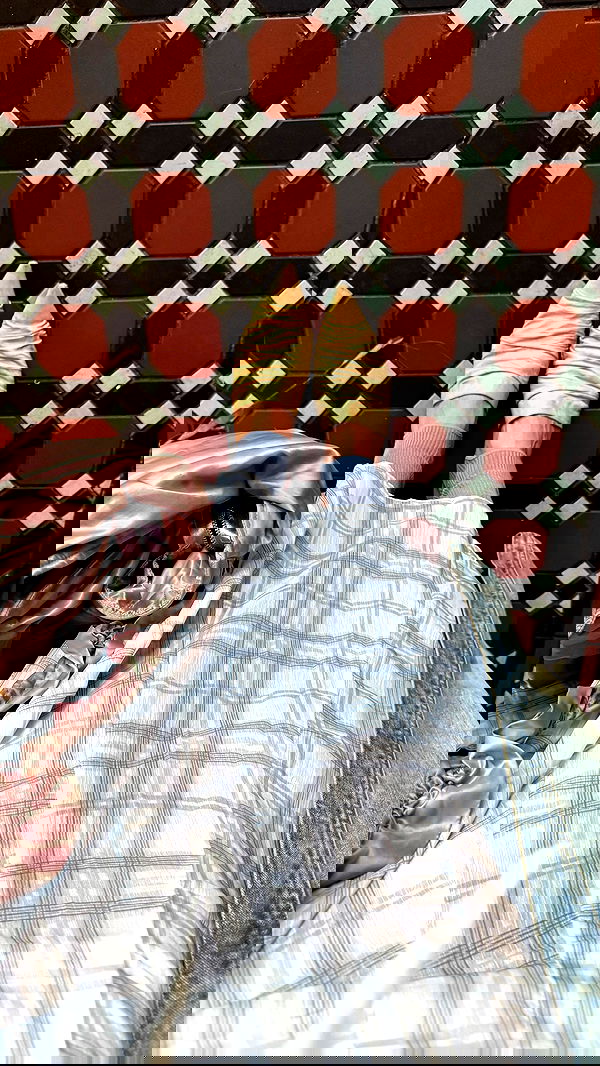 ayguldavlletova image ~ Altpins