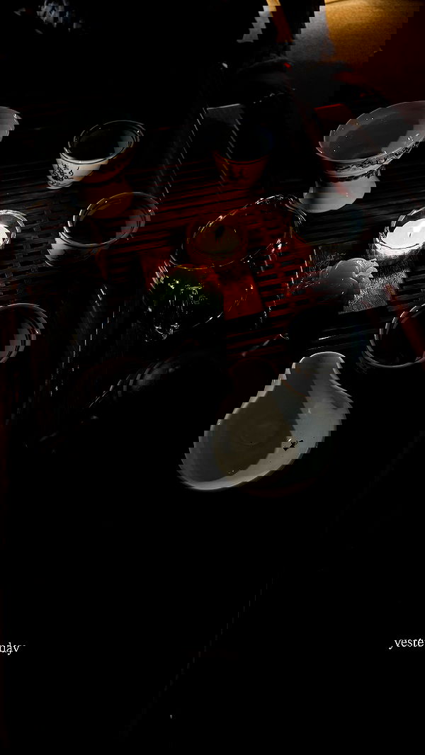 ayguldavlletova image ~ Altpins