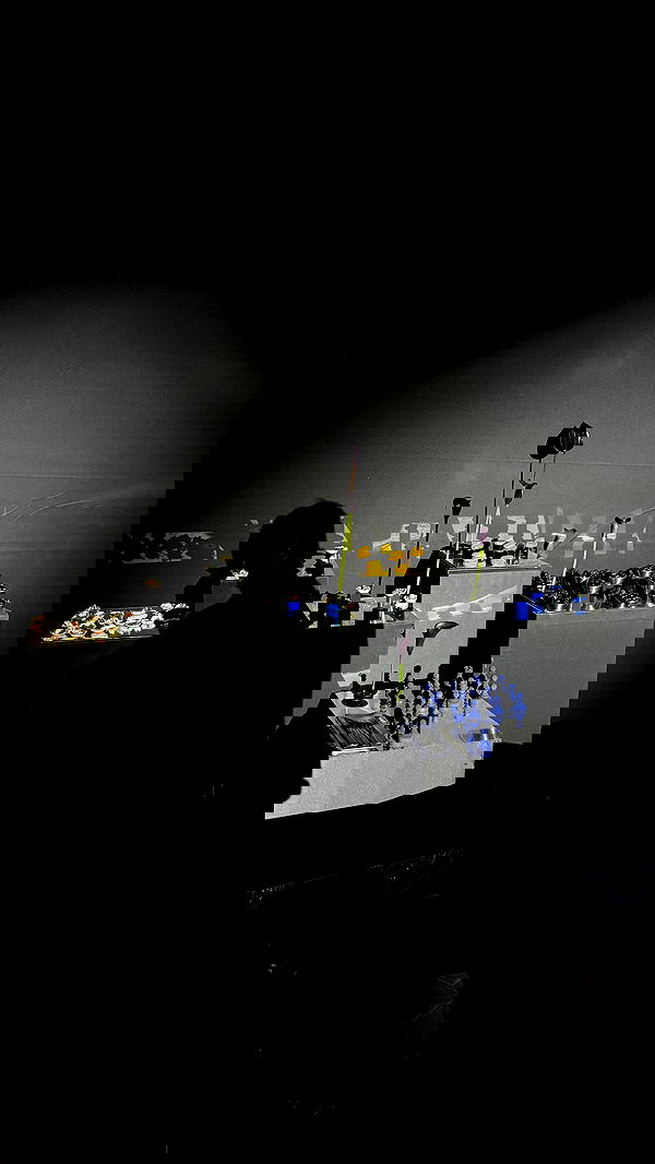 ayguldavlletova image ~ Altpins