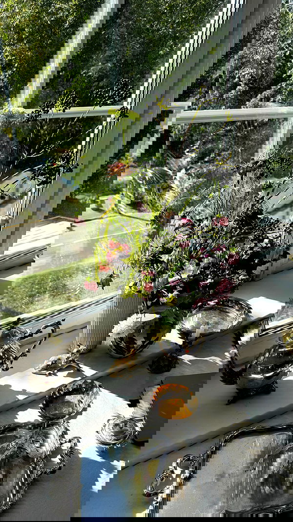 ayguldavlletova image ~ Altpins