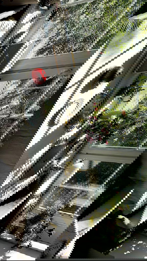 ayguldavlletova image ~ Altpins