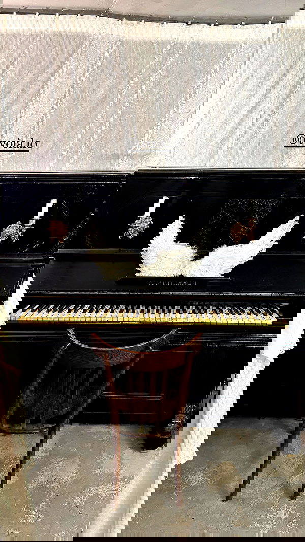 ayguldavlletova image ~ Altpins