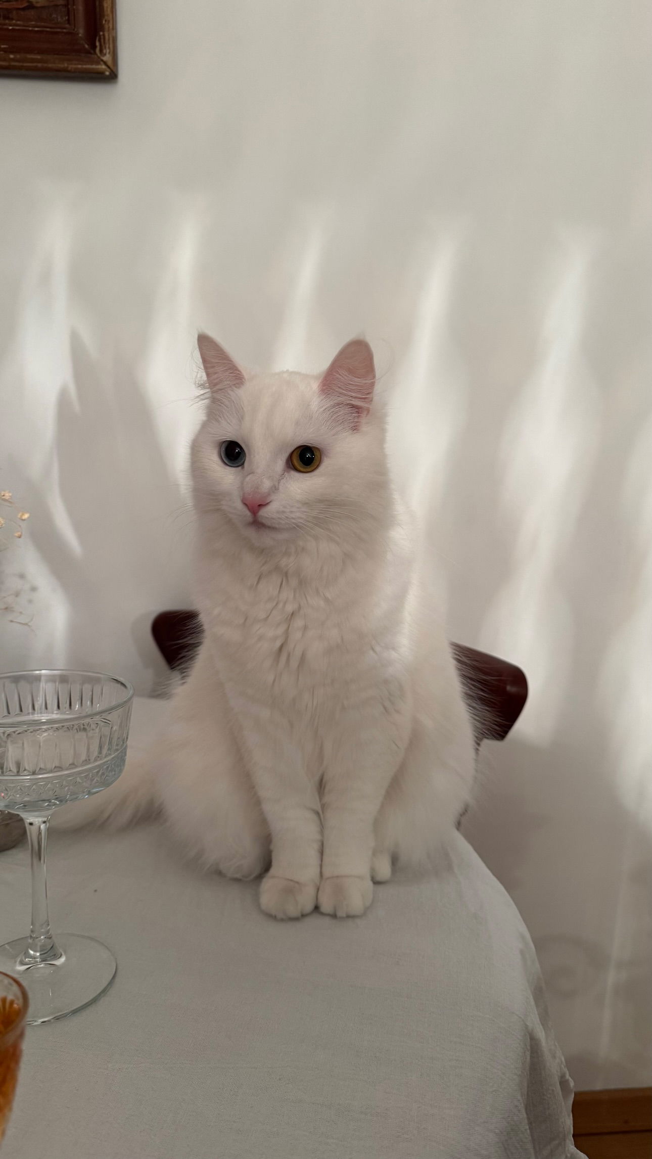 ayguldavlletova instagram image archive image