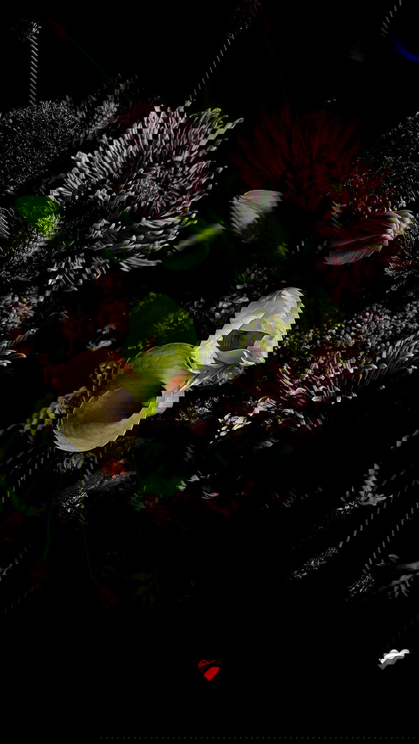 ayguldavlletova image ~ Altpins