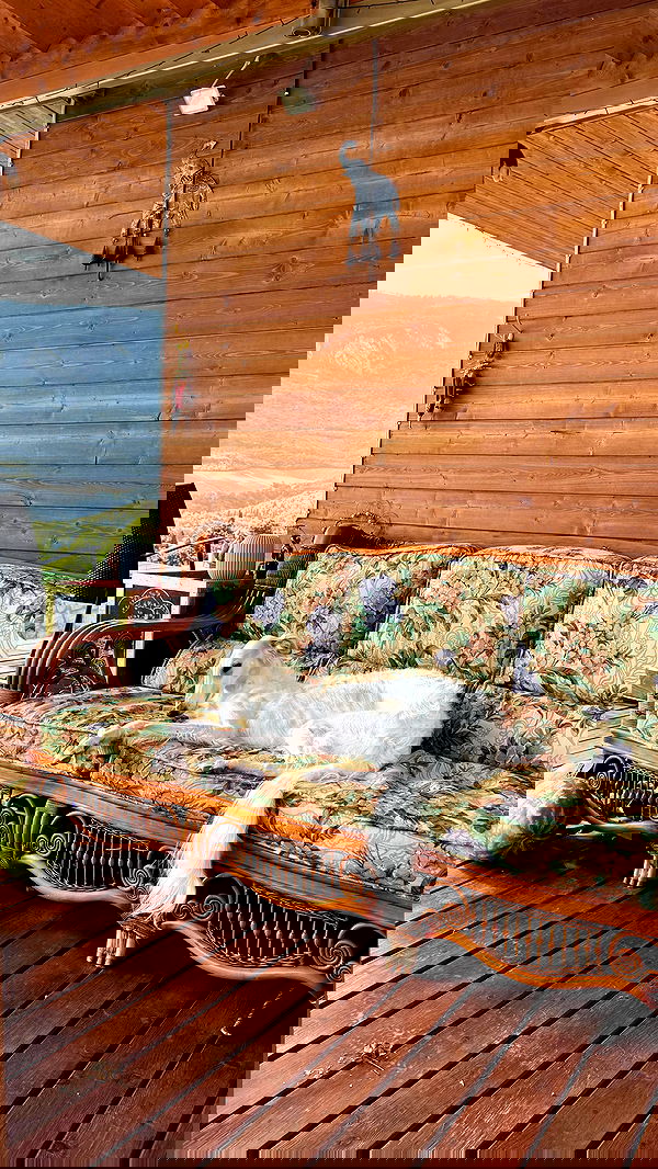 ayguldavlletova image ~ Altpins