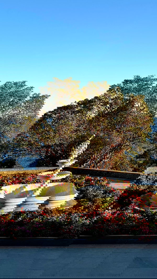 ayguldavlletova image ~ Altpins