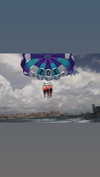 aznkitty_ Altpins Profile Picture