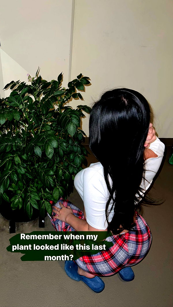 aznkitty_ aznkitty_ archive image