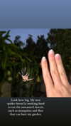 aznkitty_ Altpins Profile Picture