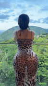 aznkitty_ Altpins Profile Picture