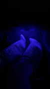 b6ylexx Altpins Profile Picture