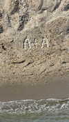 b6ylexx Altpins Profile Picture