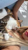 babyjoelle_ Altpins Profile Picture