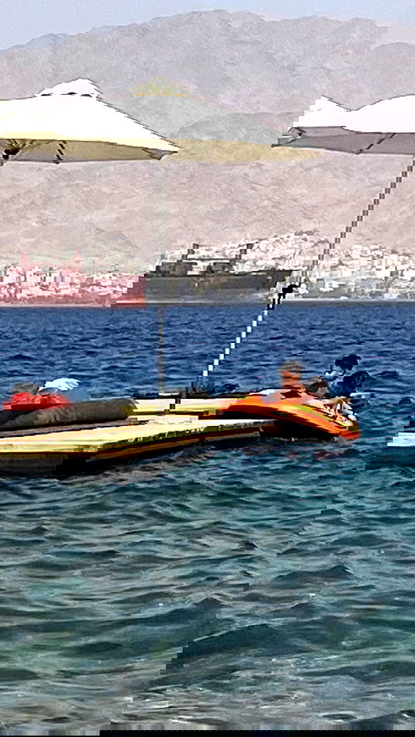 babynympho_archive babynympho_archive archive image