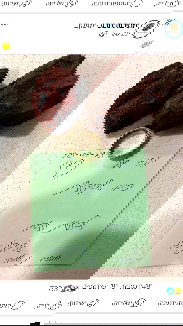 babynympho_archive babynympho_archive archive image