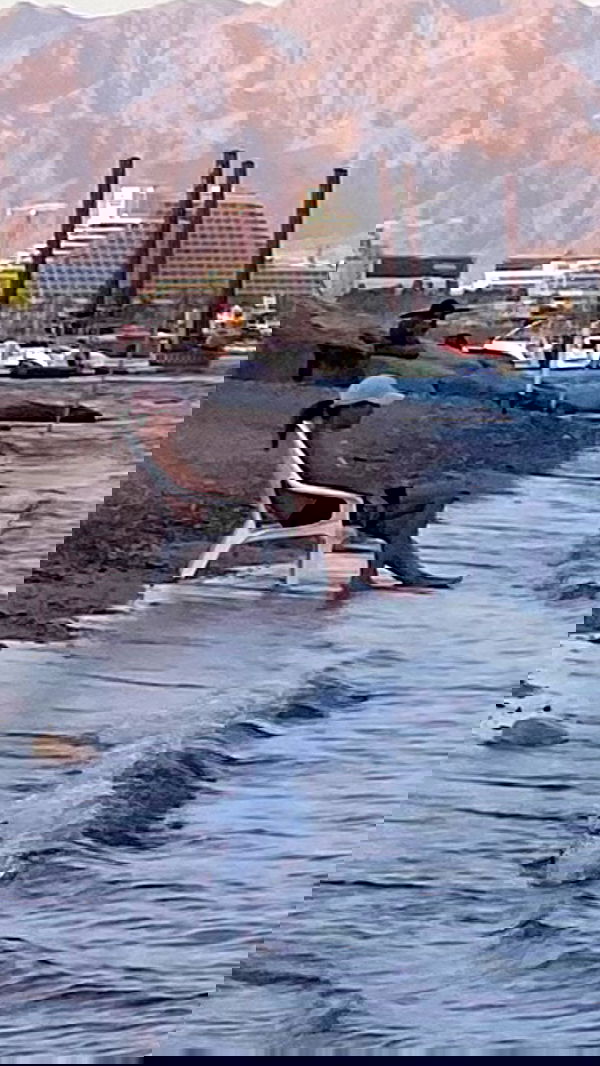 babynympho_archive babynympho_archive archive image