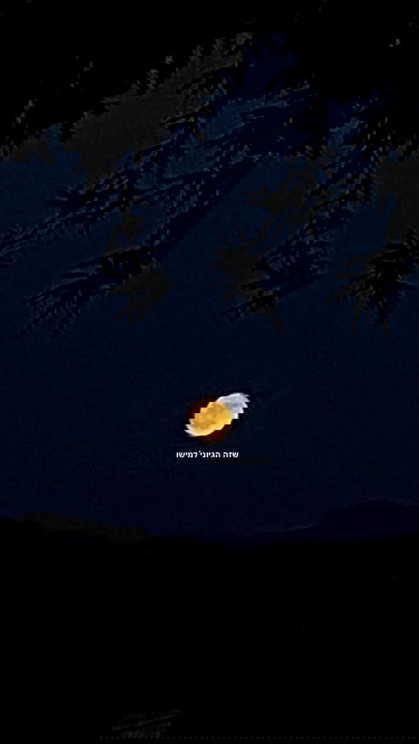 babynympho_archive babynympho_archive archive image