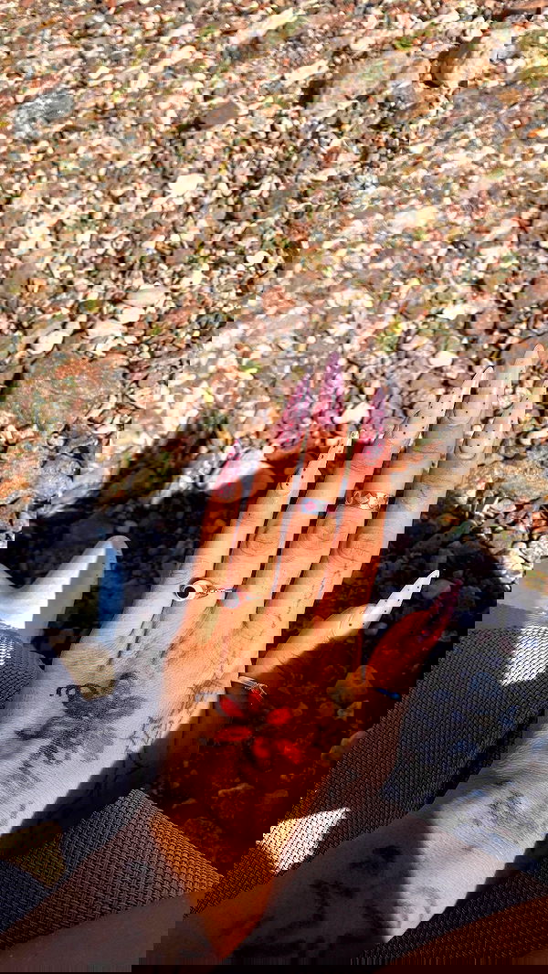 babynympho_archive babynympho_archive archive image