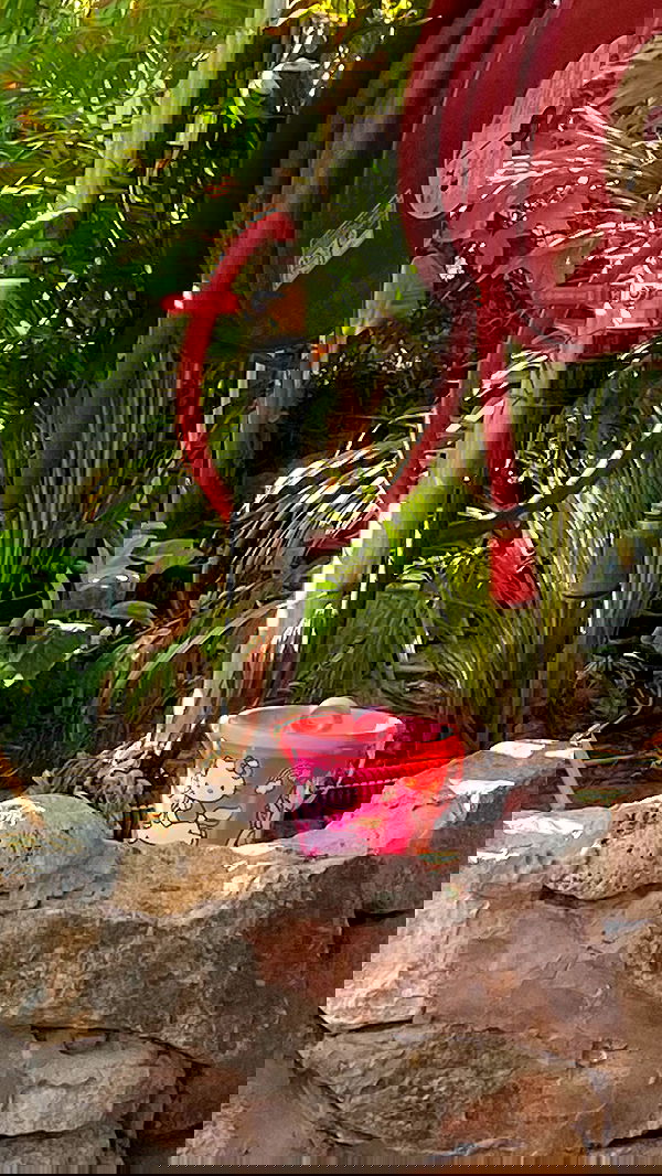 babynympho_archive babynympho_archive archive image