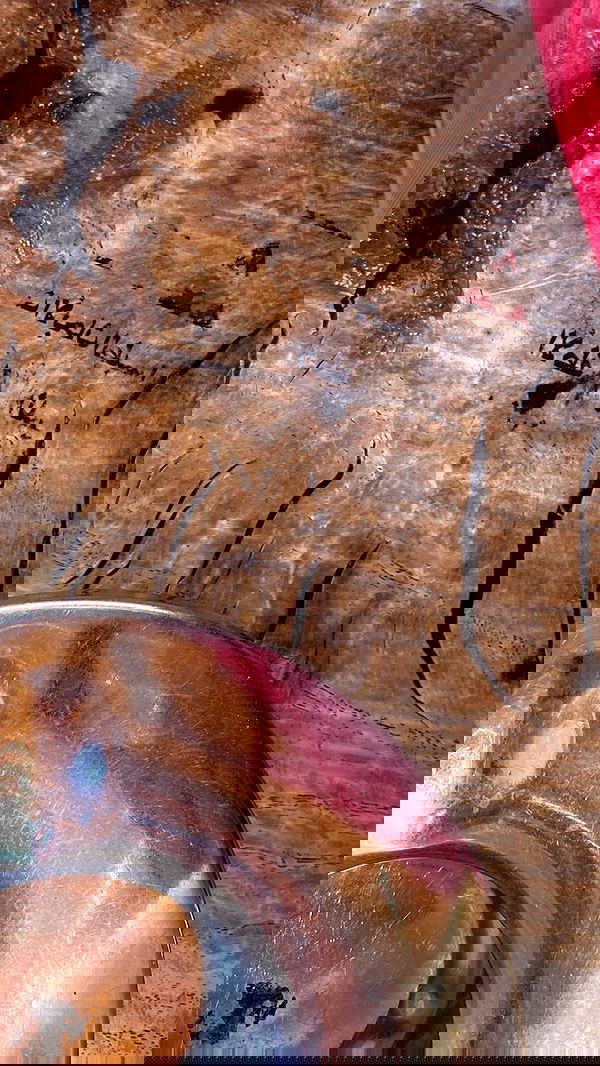 babynympho_archive babynympho_archive archive image