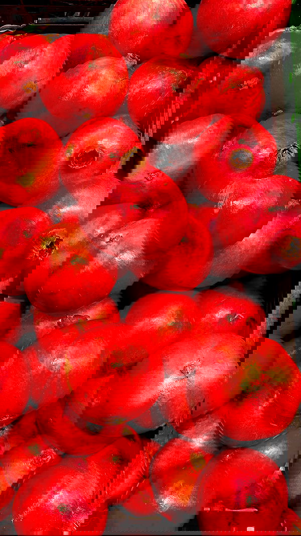 babynympho_archive babynympho_archive archive image