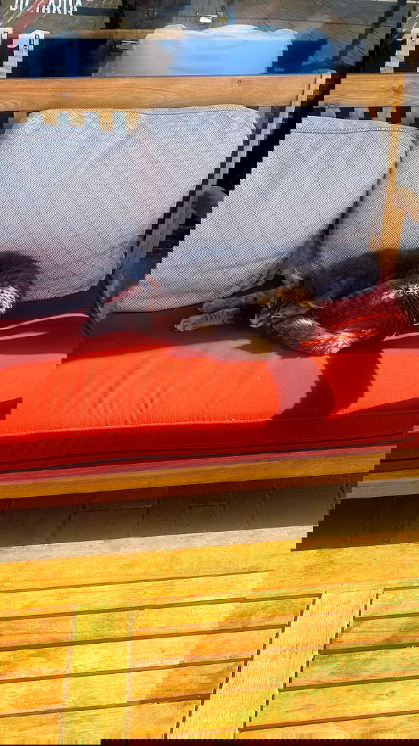 babynympho_archive babynympho_archive archive image