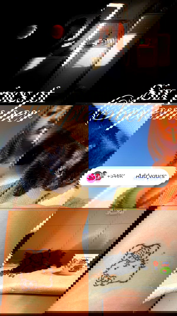 babynympho_archive babynympho_archive archive image